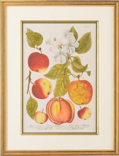 Giclee Print Apples No. 704 Double Mat Gold Leaf Frame Fillet Framed Glass