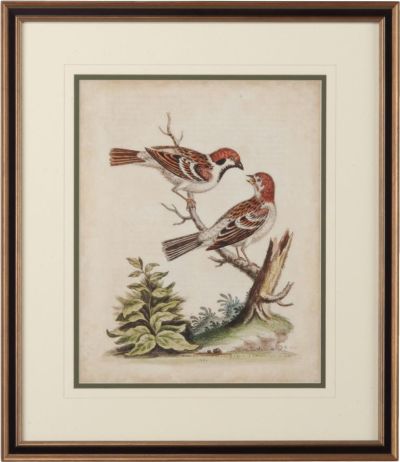 Giclee Print Framed