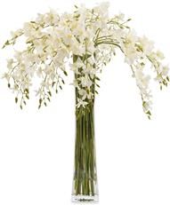 Vase JOHN-RICHARD Phalaenopsis Orchid Dendrobium Orchids Slender Concave Tall