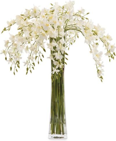Vase JOHN-RICHARD Phalaenopsis Orchid Dendrobium Orchids Slender Concave Tall