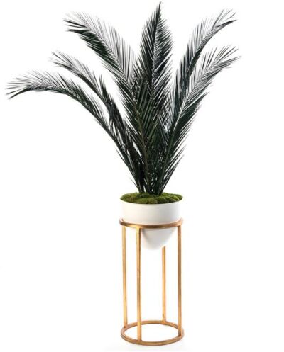 Planter Vase JOHN-RICHARD Transitional Natural Preserved Date Palms Palm On