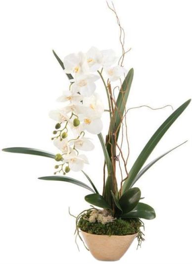 Planter Vase JOHN-RICHARD Phalaenopsis Orchid Large White Gold Hammered Me