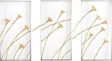 Wall Panels Panel JOHN-RICHARD Windswept Triptych Polished Brass Set 3