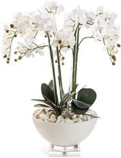 Bowl JOHN-RICHARD White Orchids Floral Orchid Pink Natural Faux Water Porcelain