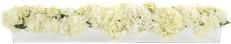 Container JOHN-RICHARD Evening Reflection Annabelle Hydrangeas Floral Narrow