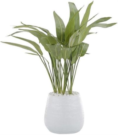Urn Vase JOHN-RICHARD Dancing Moonlight Bird-Of-Paradise Floral White Glaze