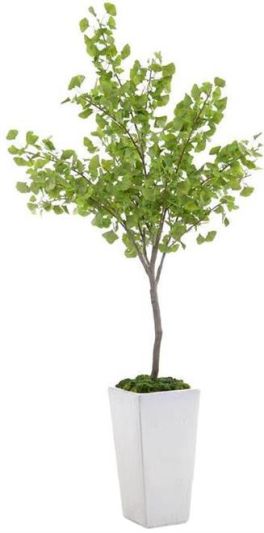 Planter Vase JOHN-RICHARD White Ginkgo Floral Glaze Natural Ceramic Preserved