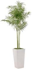 Planter Vase JOHN-RICHARD West Coast Palm Floral Tree White Steel