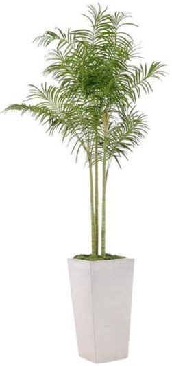 Planter Vase JOHN-RICHARD West Coast Palm Floral Tree White Steel