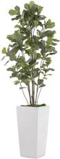 Planter Vase JOHN-RICHARD Fiddle-Leaf Fig Tree Floral Gray-White Natural Gray
