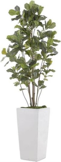 Planter Vase JOHN-RICHARD Fiddle-Leaf Fig Tree Floral Gray-White Natural Gray
