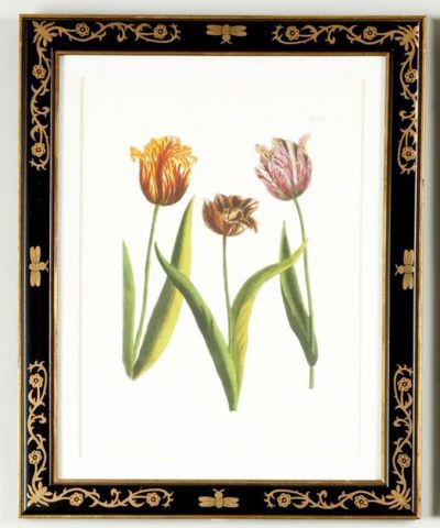 Lithograph Print Black Gold Decoration Framed