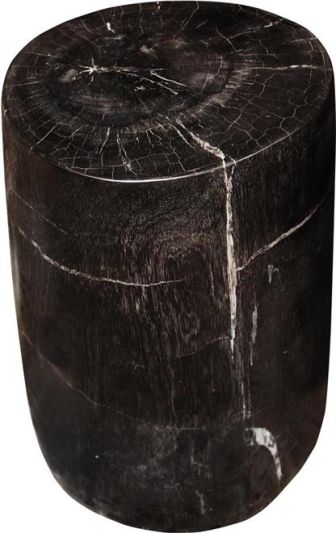 Stool Backless Polished Stainless Steel Fossil Wood