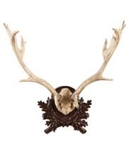 Plaque Rustic Antlers Fallow Deer Leafy Detail Carved Hand Cast Resin OK Casting