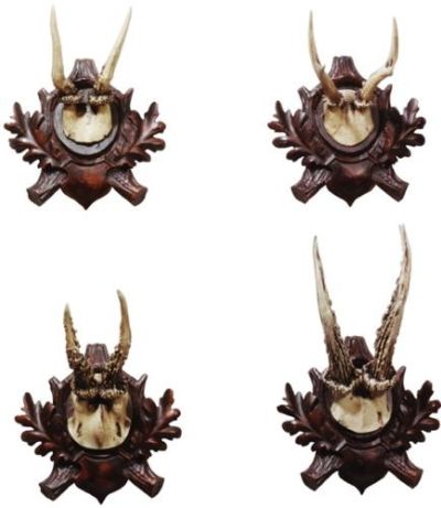 Plaques Plaque MOUNTAIN Lodge Roe Deer Antlers Chocolate Brown Set 4 Resin