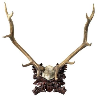 Plaque MOUNTAIN Lodge Antlers Marked 1889 Deer Large Ivory Chocolate Brown