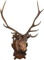 Wall Trophy Noble Stag Head Lifesize Rustic Deer Hand Painted Resin OK Casting