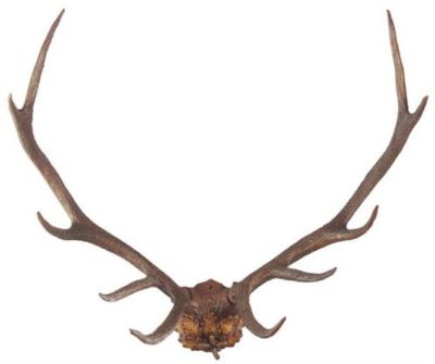 Antlers Sculpture MOUNTAIN Lodge Oak Leaf Design Mounting Plaque Deer Chocolate