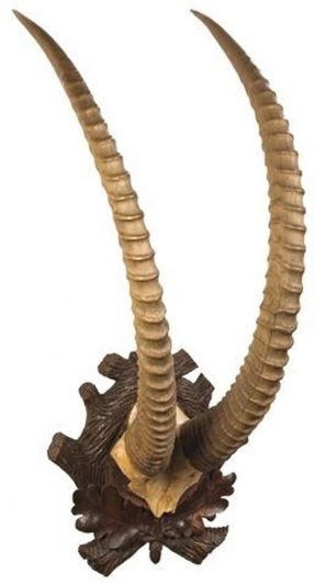 Plaque Horns European Alpine Ibex African Sable Antelope Detailed Carved Leaves Hand Painted