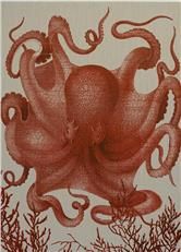 Wall Art Print 19th C Octopus III 39x54 54x39 Coral Pink Linen Unframed