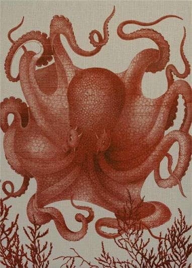 Wall Art Print 19th C Octopus III 47x65 65x47 Coral Pink Linen Unframed