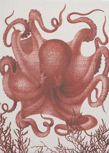 Wall Art Print 19th C Octopus III 47x65 65x47 Coral White Pink