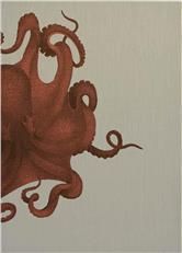 Wall Art Print 19th C Octopus Study 39x54 54x39 Coral Pink Linen Unfram