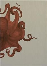 Wall Art Print 19th C Octopus Study 47x65 65x47 Coral Pink Linen Unfram