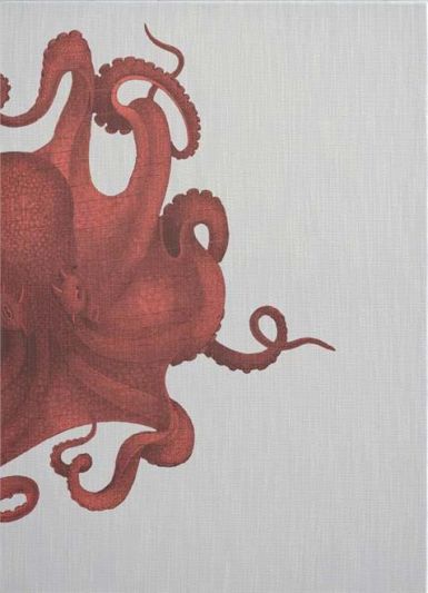 Wall Art Print 19th C Octopus Study 47x65 65x47 White Coral Pink