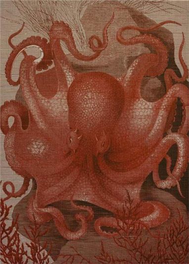 Wall Art Print 19th C Octopus in the Sea 47x65 65x47 Coral Pink Linen U