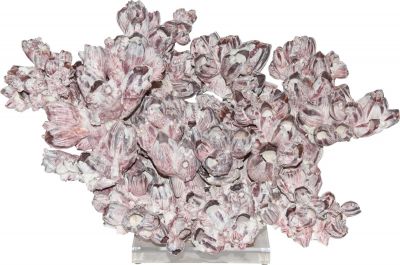 Sculpture Banacle Coral Creation Light Pink Acrylic Handmade Hand-C