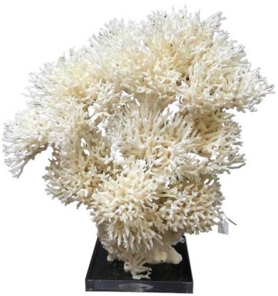 Sculpture Birdsnest Creation Coral Large Colors May Vary Variable Acrylic Base