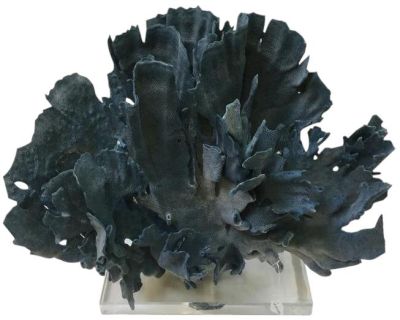 Sculpture Coral Creation Blue Acrylic Base