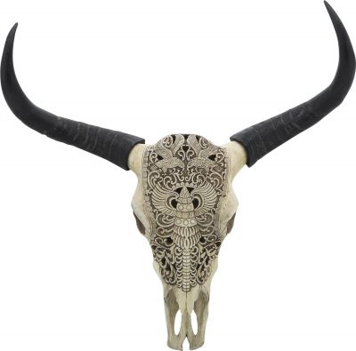 Wall Accent Art Contemporary Bull Skull Animal Black Ivory Polyresin Poly
