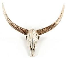 Wall Decor Art Bull Skull Animal Ivory Poly Resin