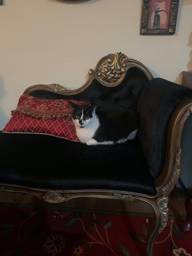 Black Velvet Upholstered La Rochelle French Settee